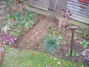 compost heap and path 009